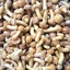 Nameko